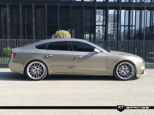 Audi A5 2007-2016 (8T) B8 Sportback 1.8TFSi/2.0TFSi/2.0TDi XT Spor Yay -30mm - Görsel 4