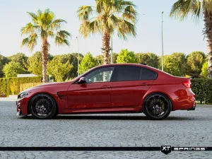 BMW 3 Serisi 2014-2018 (F30) M3 F80 Sedan XT Spor Yay -30/10 mm - Görsel 4