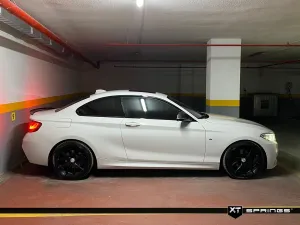 BMW 2 Serisi 2014-2021 (F22) Coupe 218i/220i XT Spor Yay -25mm thumb 4