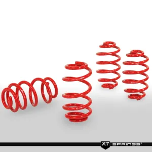 Drs Tuning Golf 3 1.4/1.6/1.8/2.0/1.9Td 1994-1997 Arası XT Spor Yay -40mm - Görsel 2