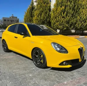 Drs Tuning Alfa Romeo Giulietta 1.4T/1.6 Jtdm/2.0 Jtdm H&R Spor Yay -30mm - Görsel 5