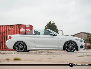 BMW 2 Serisi 2014-2021 (F23) Cabrio 218i/220i XT Spor Yay -40mm - Görsel 3