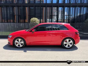 Audi A3 2012-2020 (8V) HB 1.6 Tdi XT Spor Yay -40mm - Görsel 3