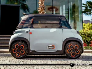 Citroen Ami 2020-Günümüz XT Spor Yay -20/30mm - Görsel 3