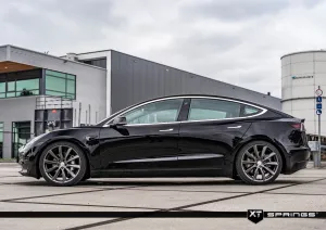 Tesla Model 3 2017 Sonrası Performance XT Spor Yay -30mm - Görsel 3