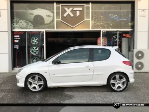 Peugeot 206 RC XT Spor Yay -20mm - Görsel 3