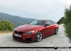BMW 4 Serisi 2014-2020 (F32) M4 F82 Coupe XT Spor Yay -25 mm - Görsel 3