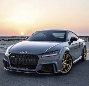 Audi 2015-2017 Uyumlu Audi TT İçin Uyumlu Ters Ön Tampon Panjur Set Parça thumb 2