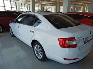 Skoda Octavia Uyumlu 2015-2019 Cam Çıtası Nikelaj thumb 4