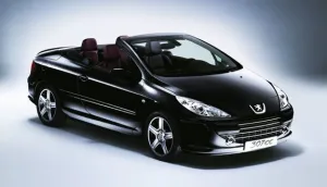 Drs Tuning Coil-Ex Peugeot  307 -32001 Sonrası Spor Yay 45 / 45 Mm