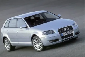 Audi A3 2003-2012 (8P) uyumlu Coil-Ex 8P -52003 Sonrası Spor Yay 45 / 45 Mm modelleri Oto Aksesuar Shop'de. Kaliteli malzeme, hızlı kargo ve güvenli